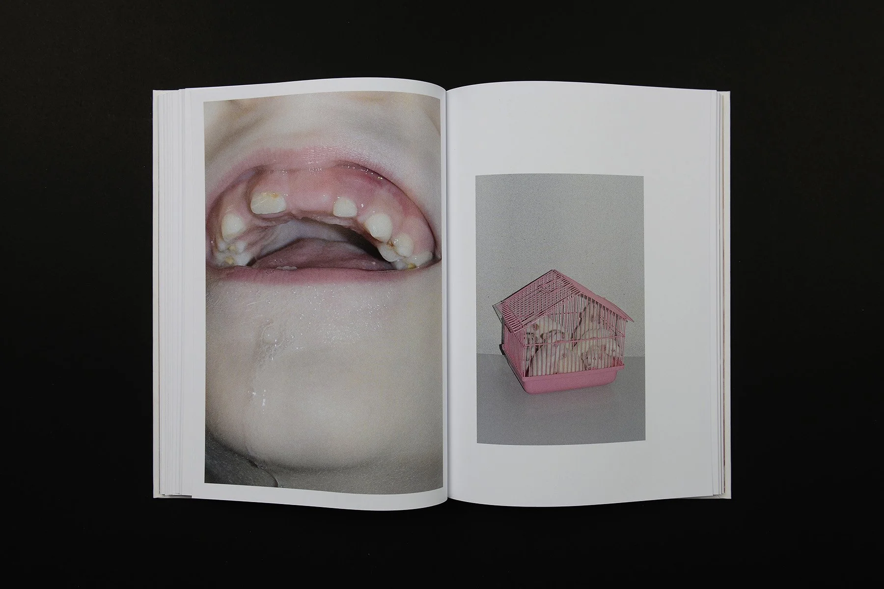 Store 1 — Void